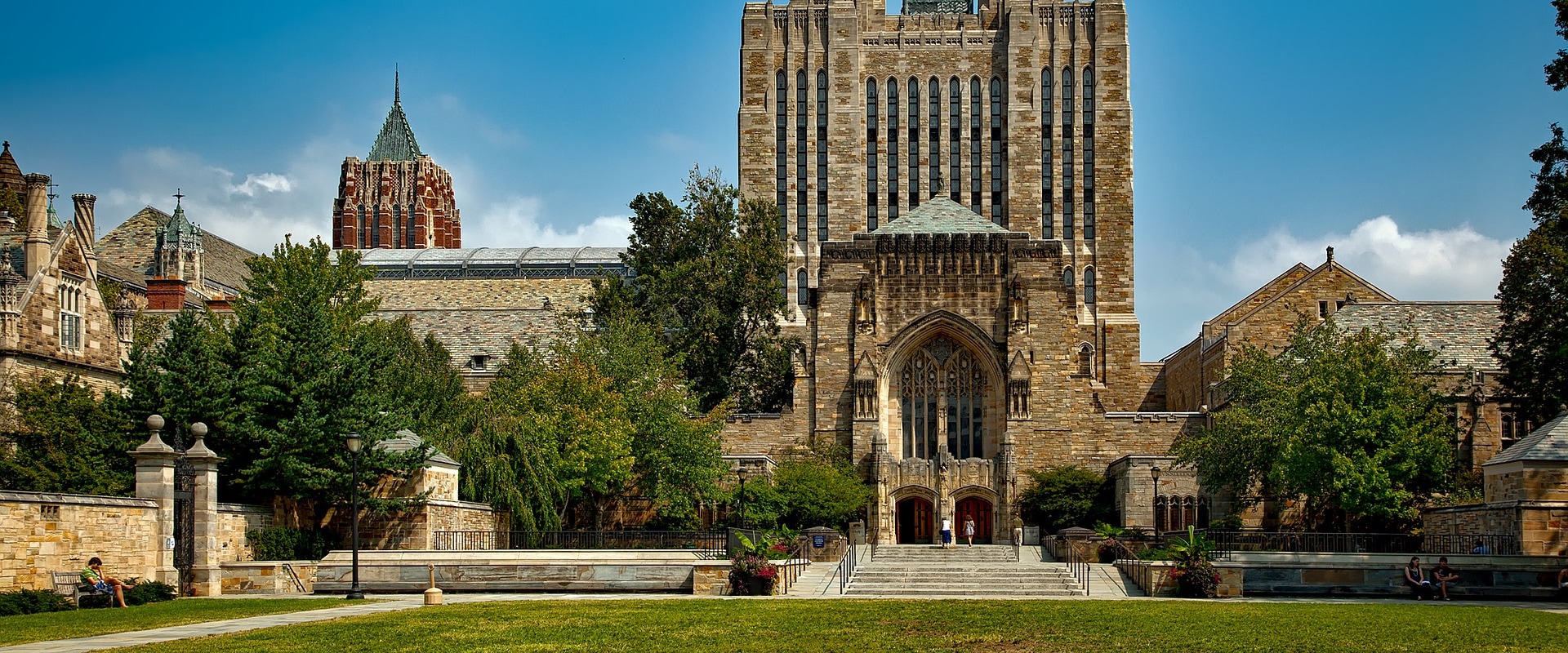 Understanding Undergraduate Admissions Criteria