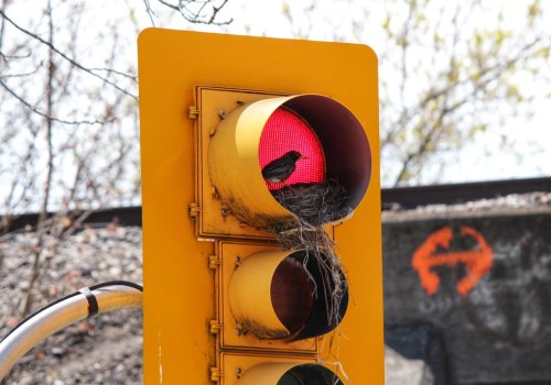 The Oxford Traffic Light System – What You Need To Know